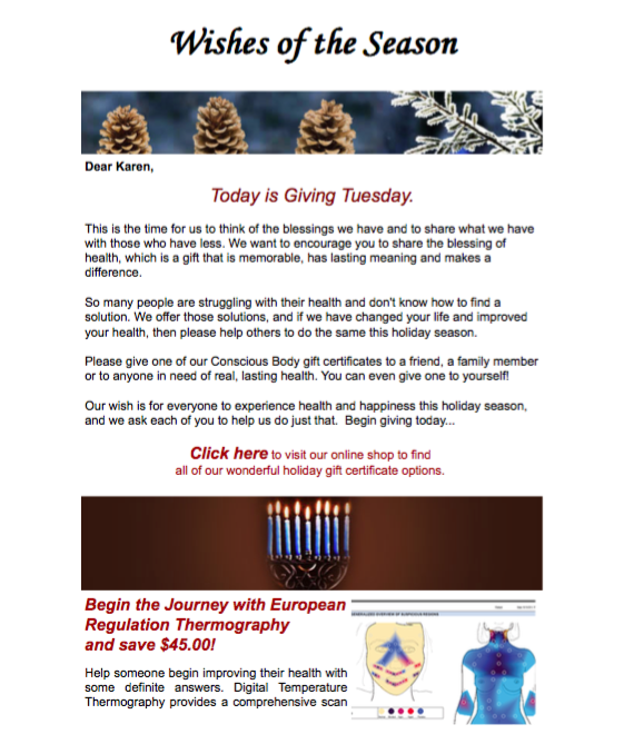 Our Holiday Newsletter November 2015