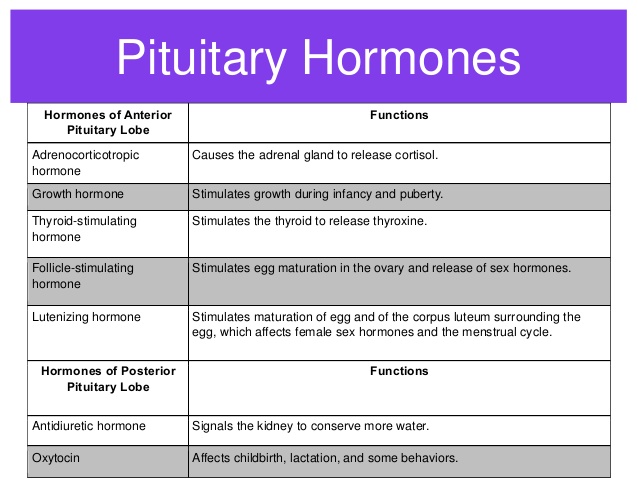  Click to enlarge chart image.