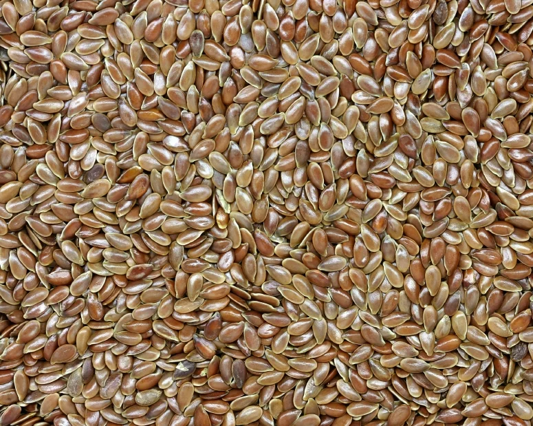 Flaxseed.jpg
