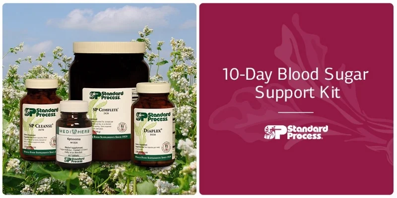 10 Day Blood Sugar Kit.jpg