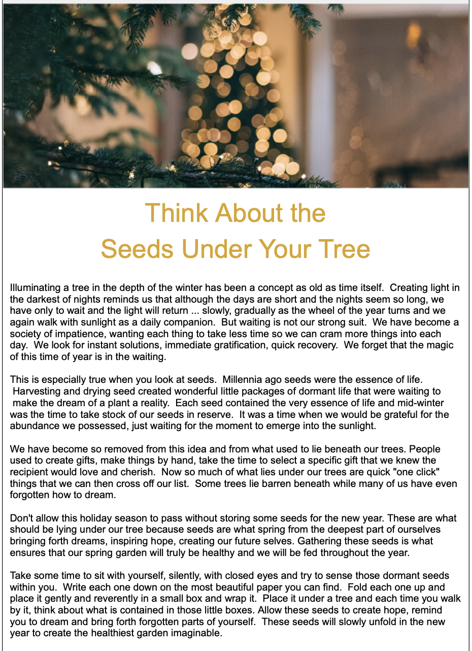 The Gift of Seeds Dec 2022