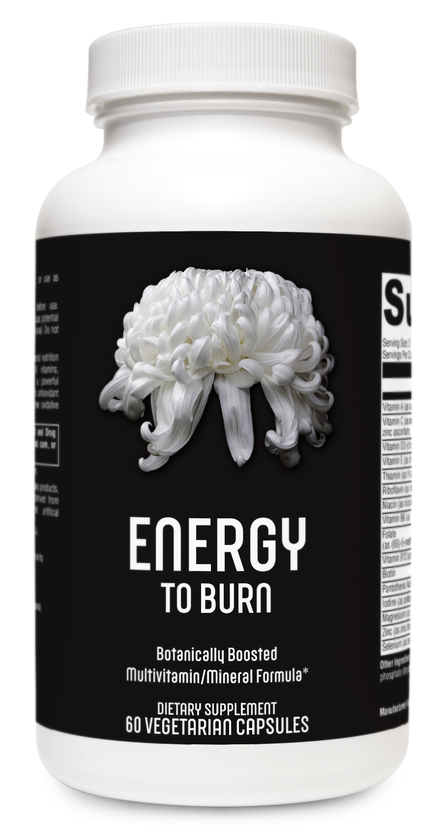 Energy to Burn by Dr. Clickner