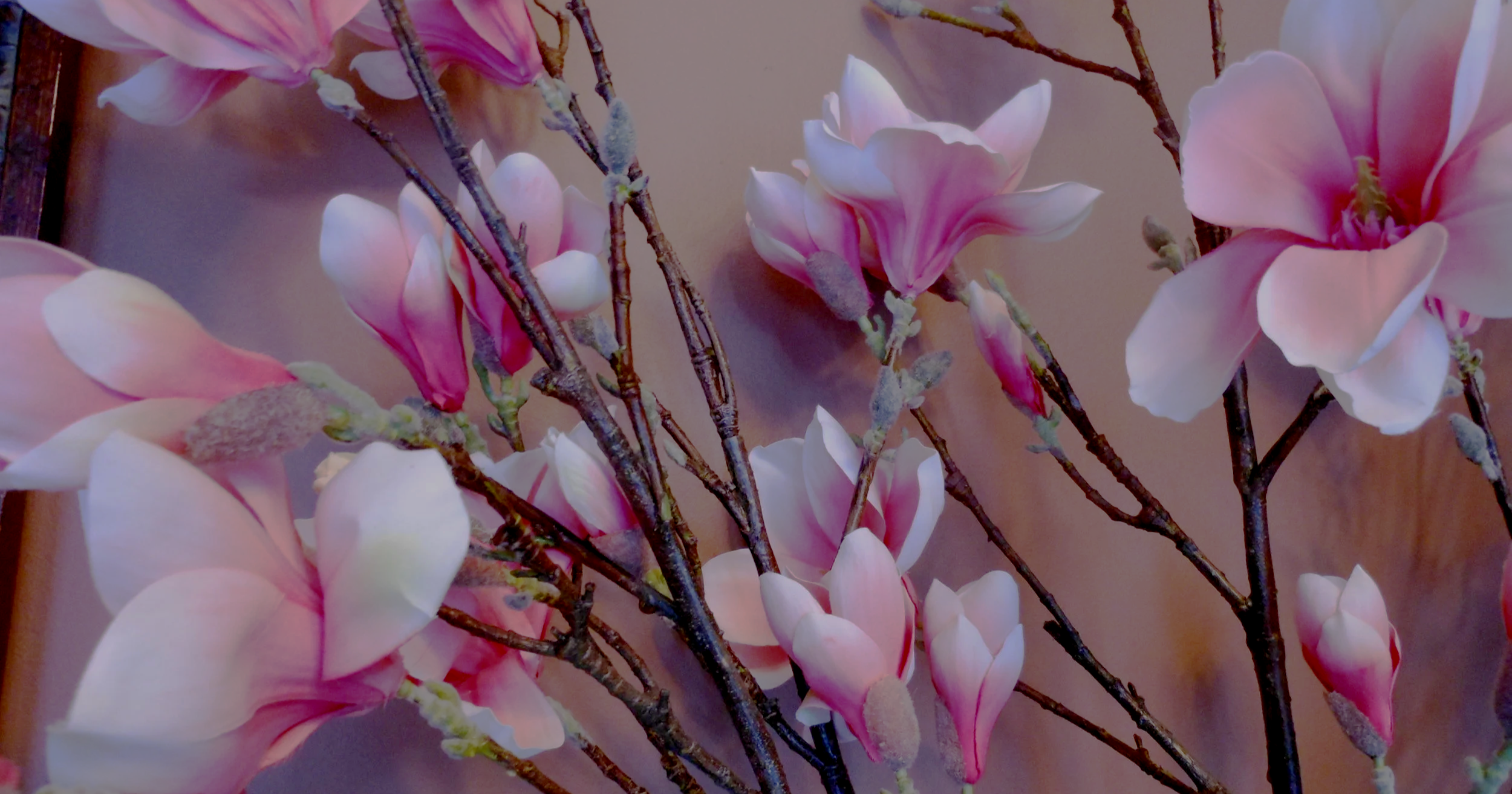 DSCN0267.png