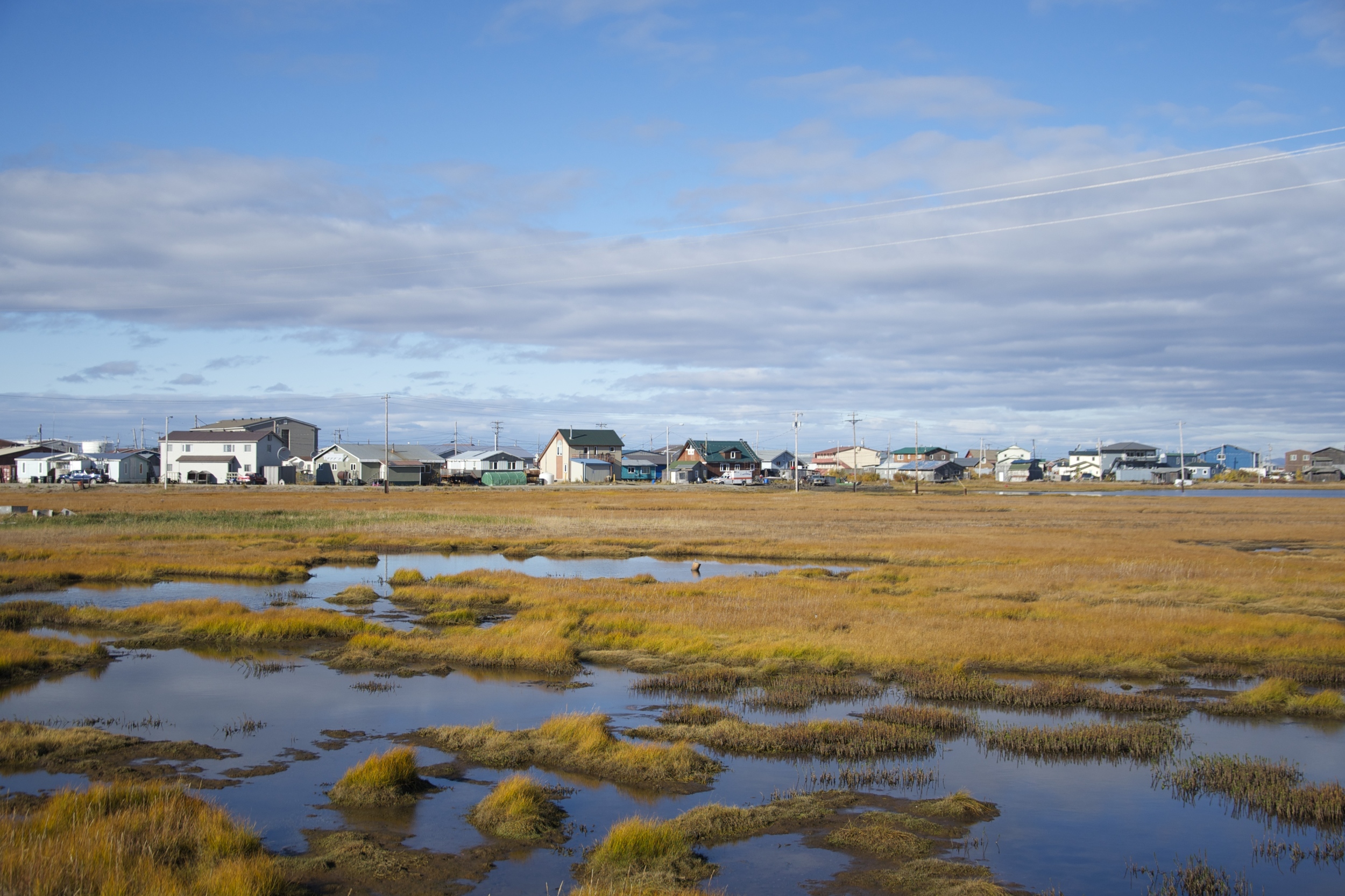 DSC_4083.jpg