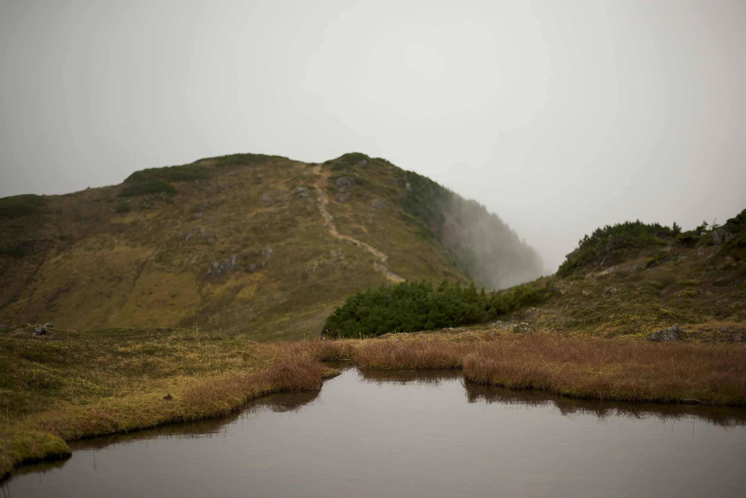 DSC_5658.jpg