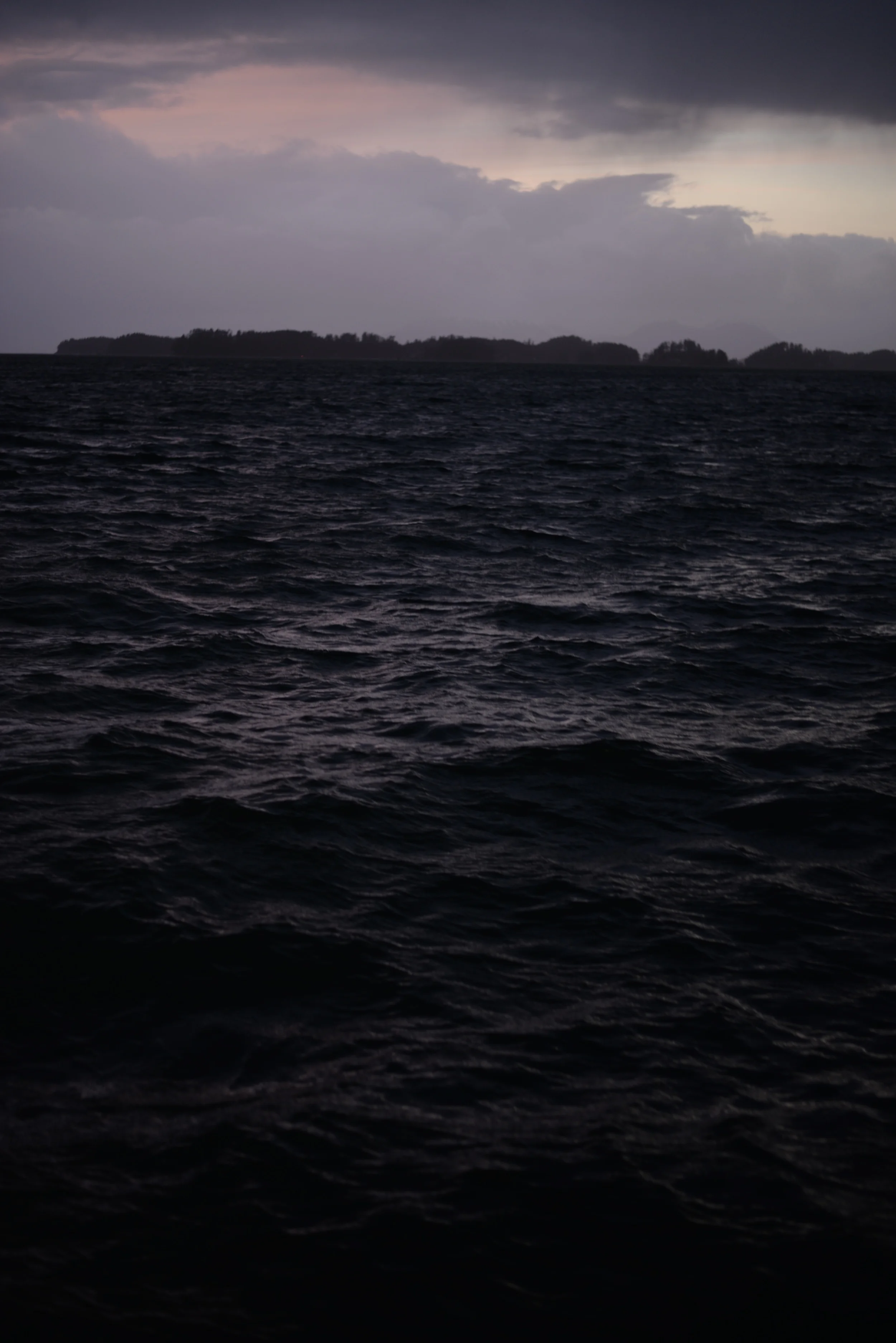 DSC_7199.jpg