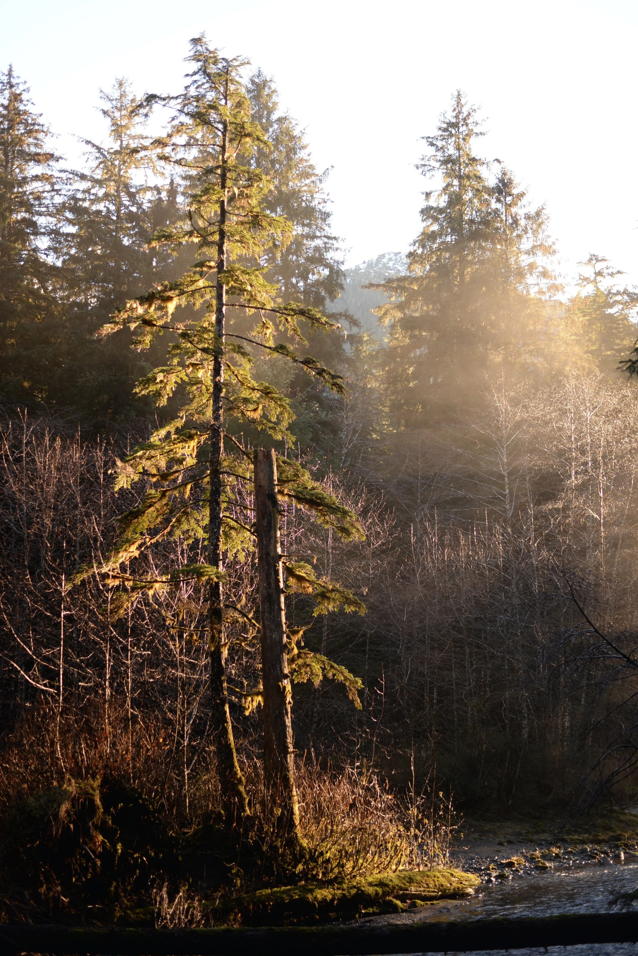 DSC_7733.jpg