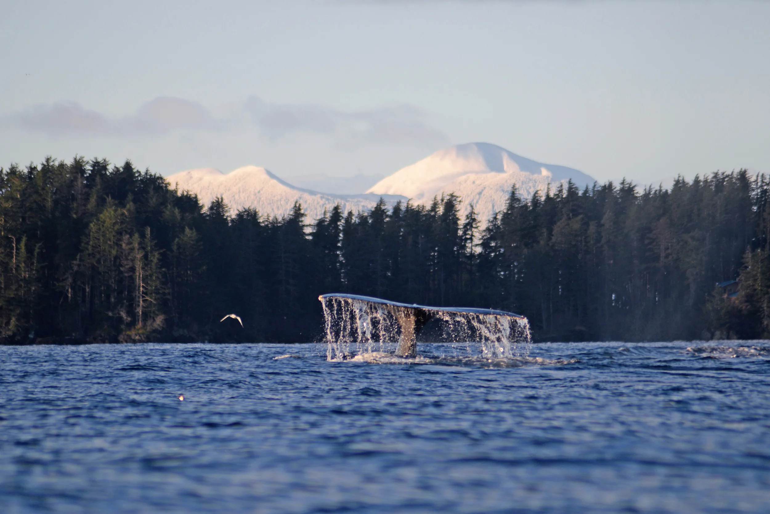 DSC_9787 - Version 2.jpg