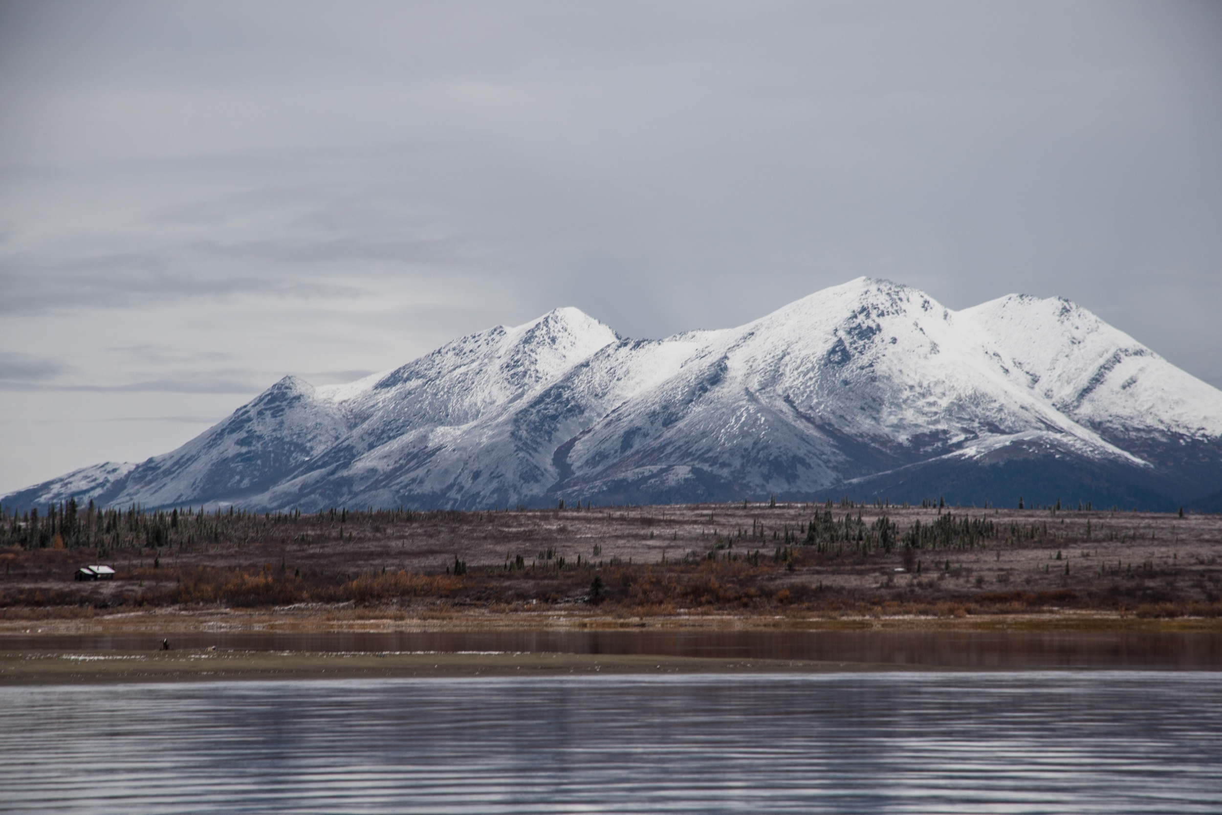 DSC_4742.jpg