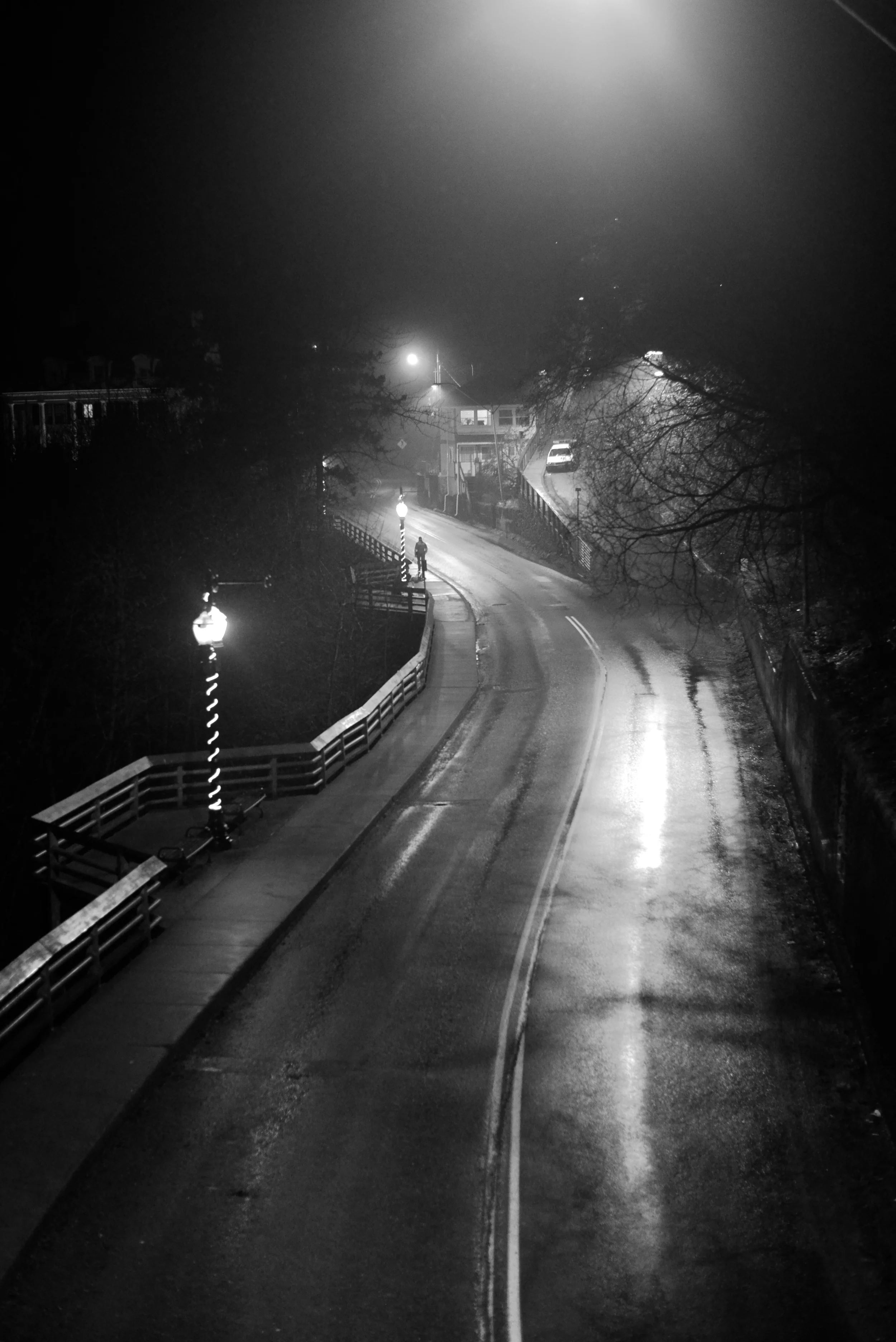 DSC_1275.jpg