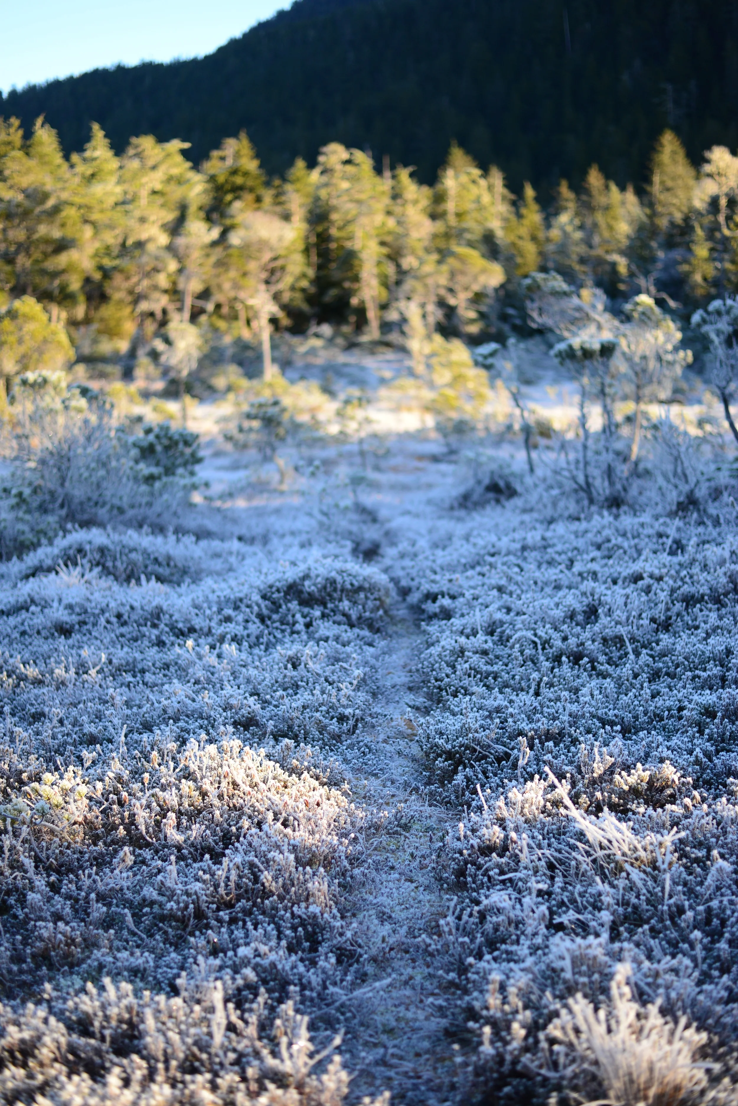 DSC_1060.jpg