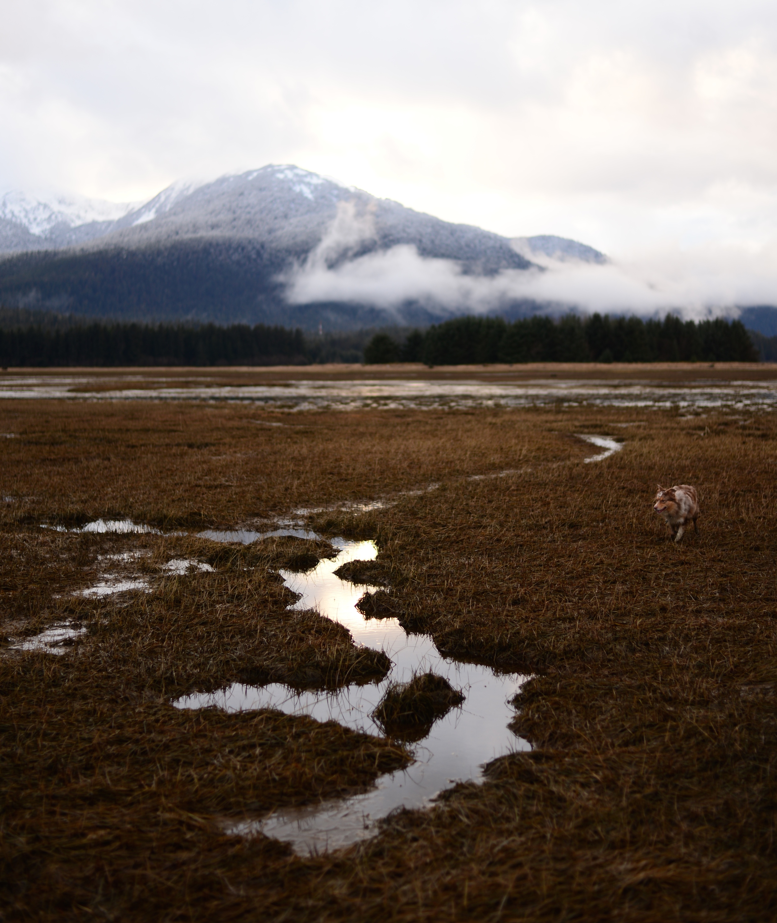 DSC_1932 - Version 2.jpg