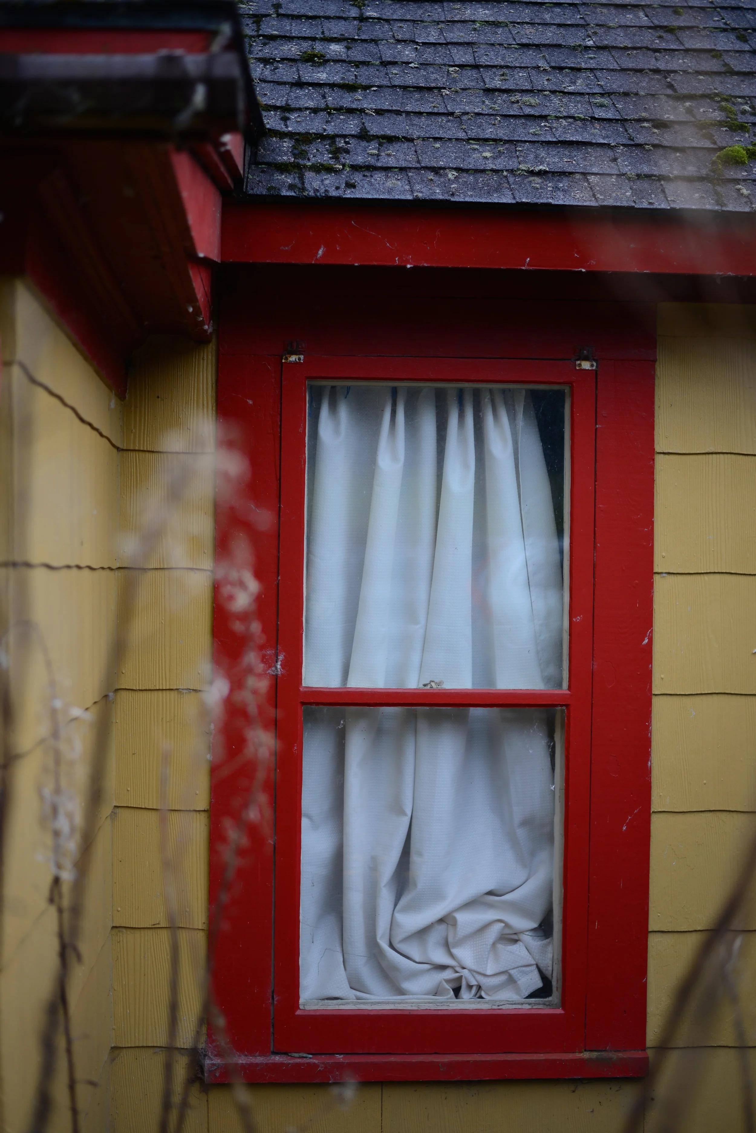 DSC_2005.jpg