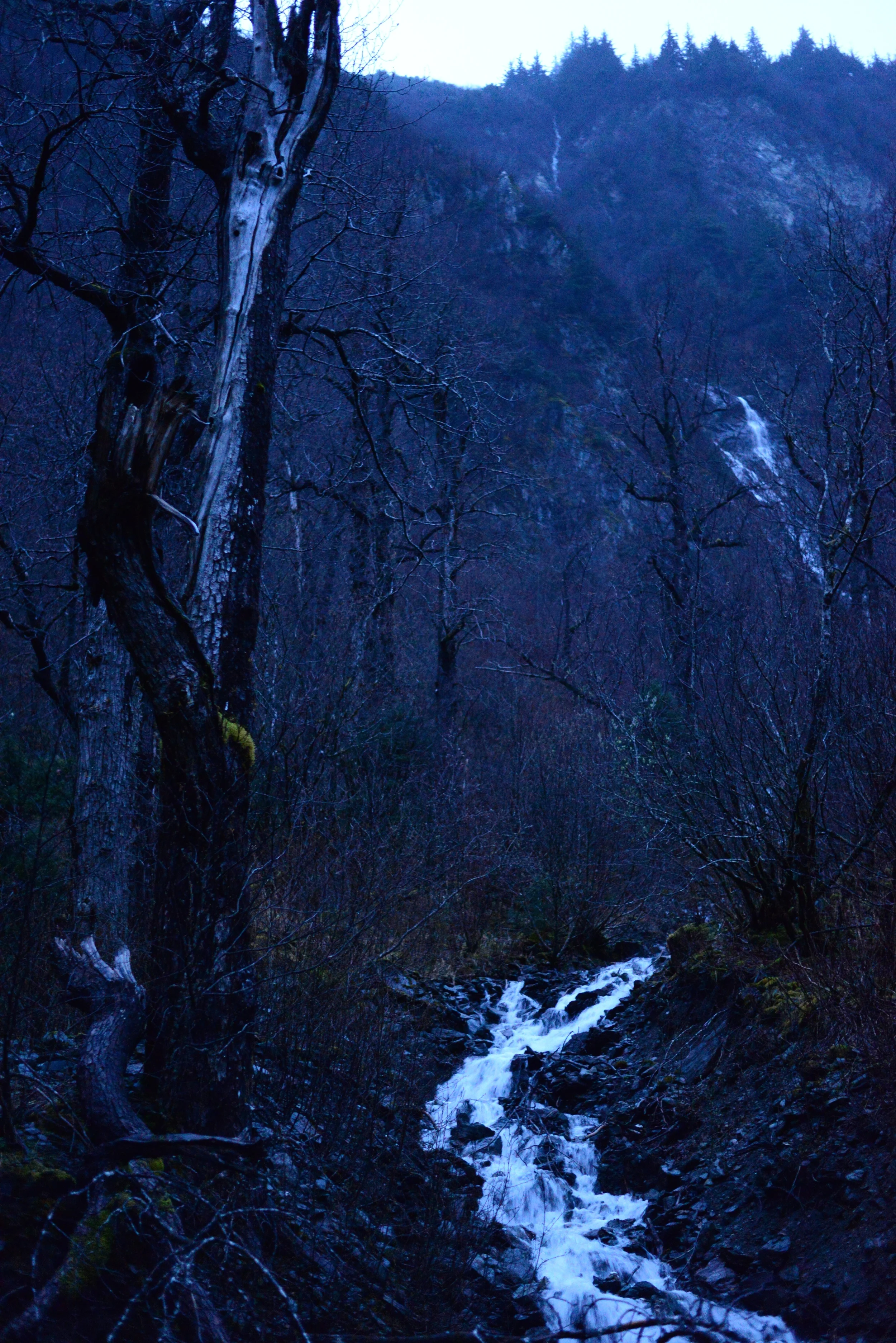DSC_4334.jpg