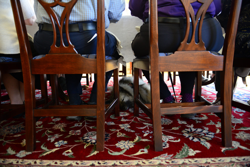  Waverly, certified crisis response canine and a recipient of the 2018 First Lady’s Volunteer of the Year Award, snoozes beneath the table during the awards banquet at the Governor’s Mansion. May 24, 2019. 