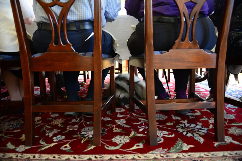 Waverly, certified crisis response canine and a recipient of the 2018 First Lady’s Volunteer of the Year Award, snoozes beneath the table during the awards banquet at the Governor’s Mansion. May 24, 2019.
