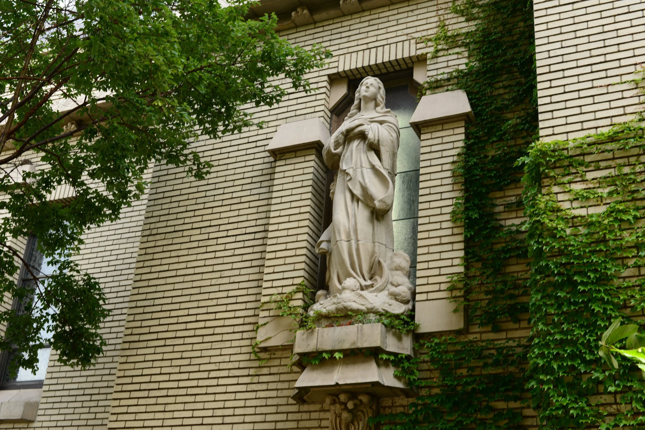 DSC_8136.jpg