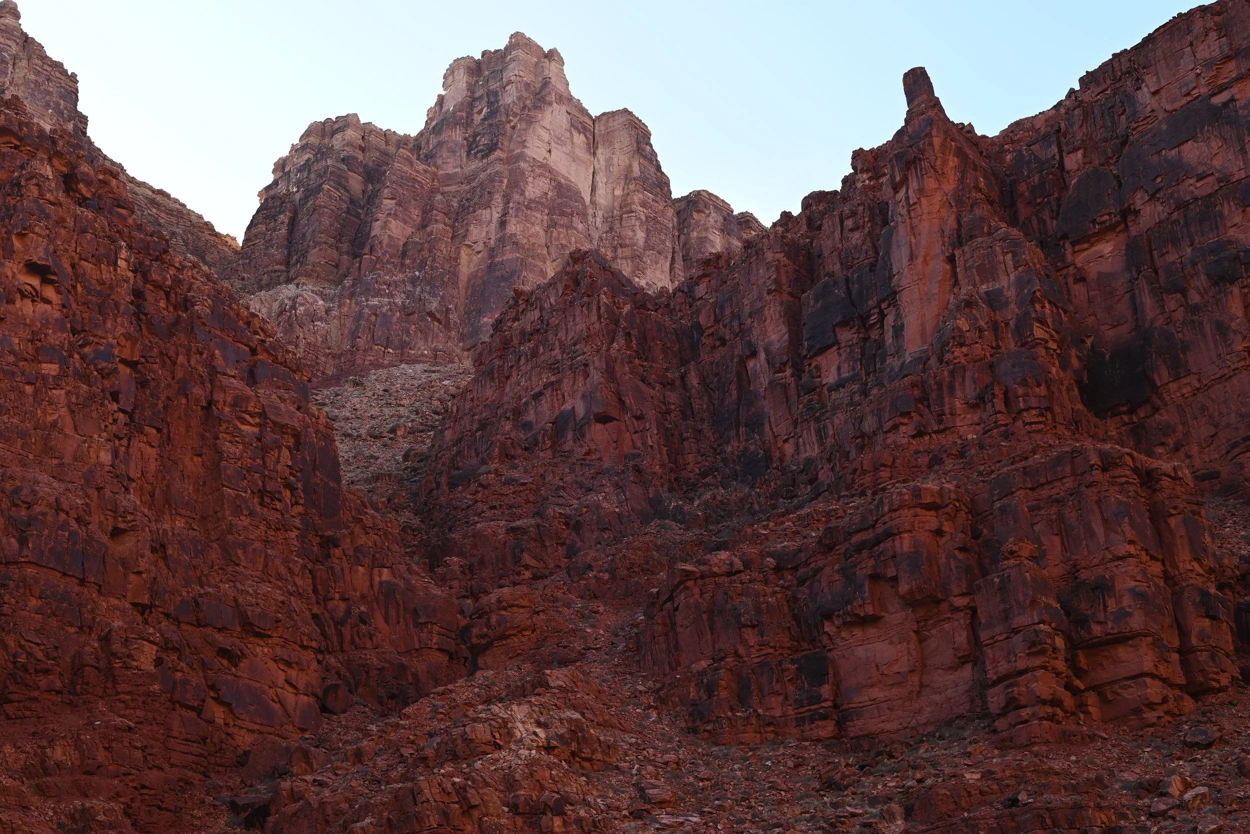 DSC_2644.JPG