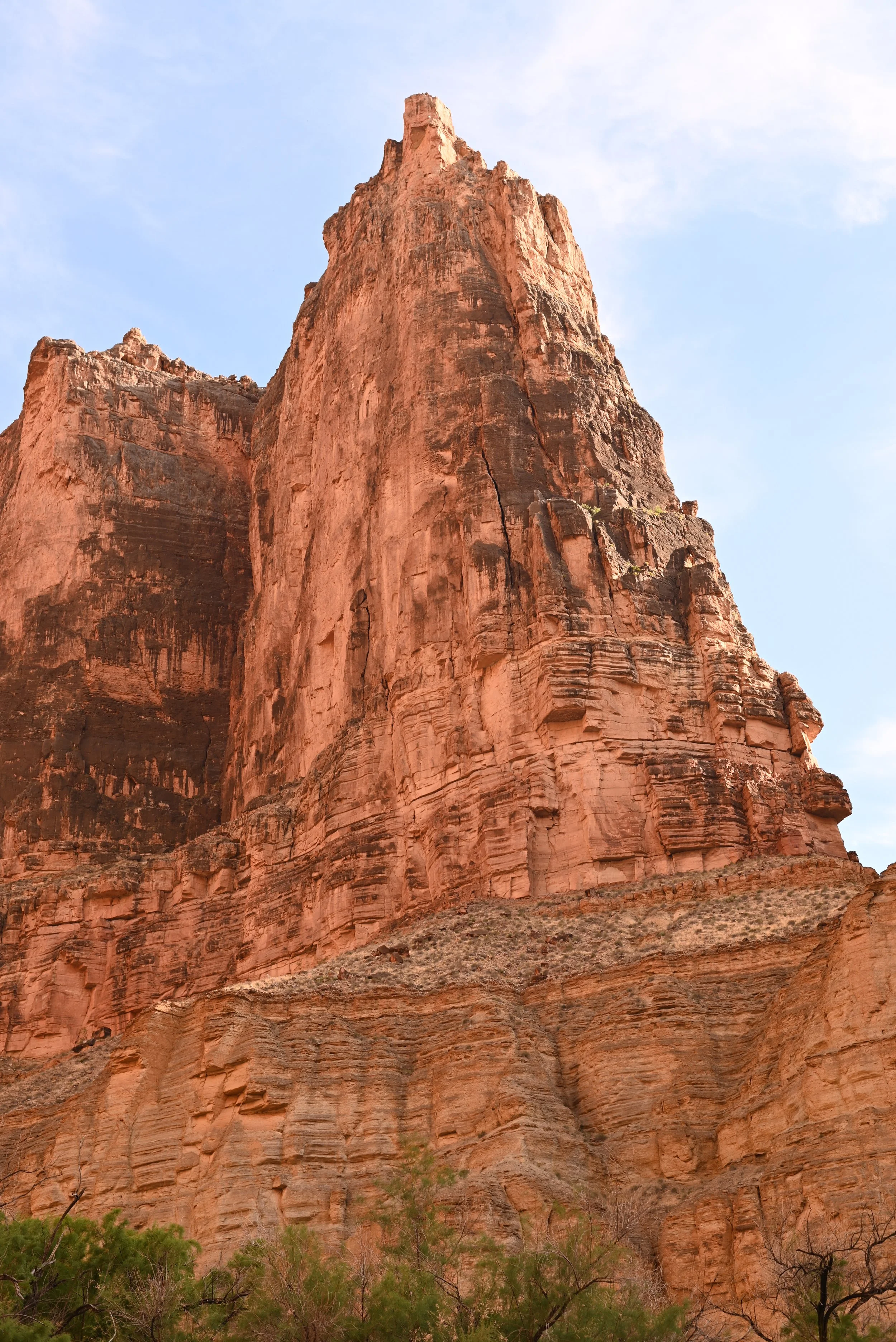 DSC_2972.JPG