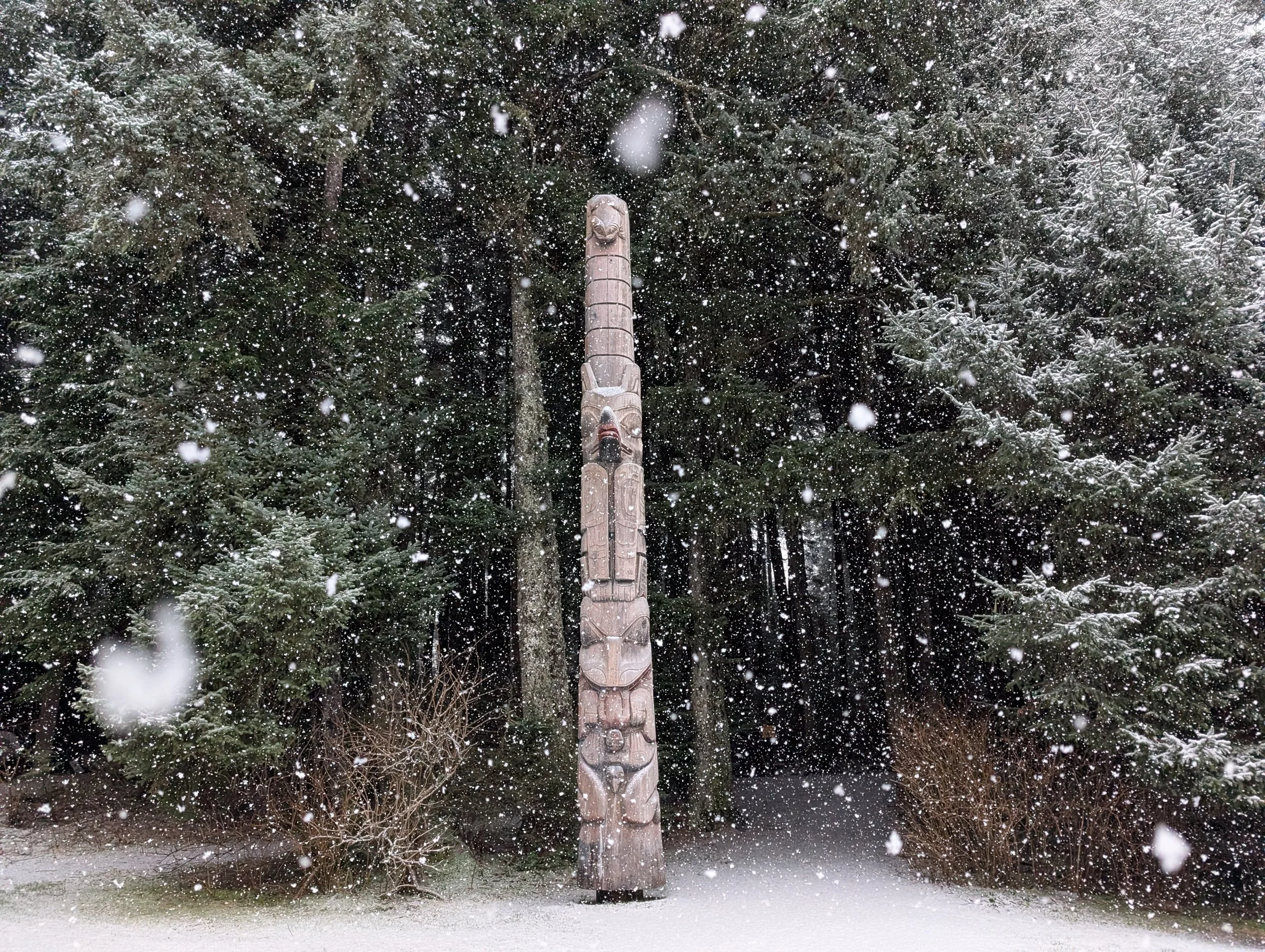 PXL_20260102_215642548 (1).jpg