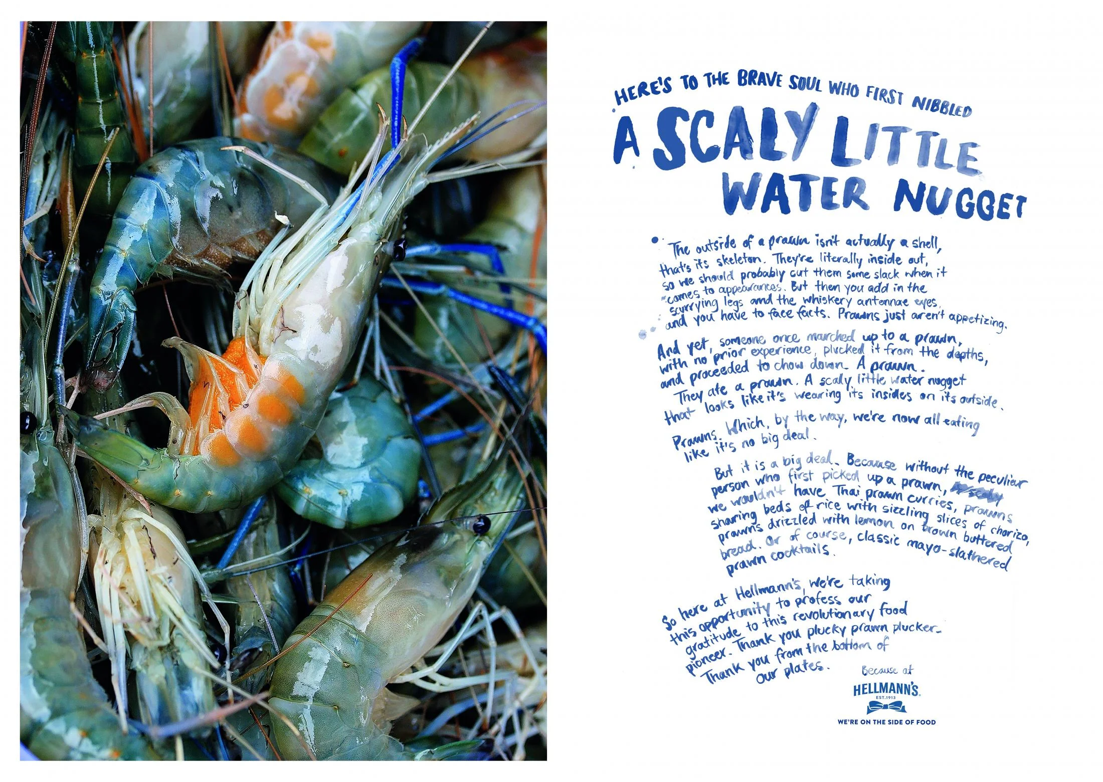 Hellmann's – Scaly Little Water Nuggets.jpg
