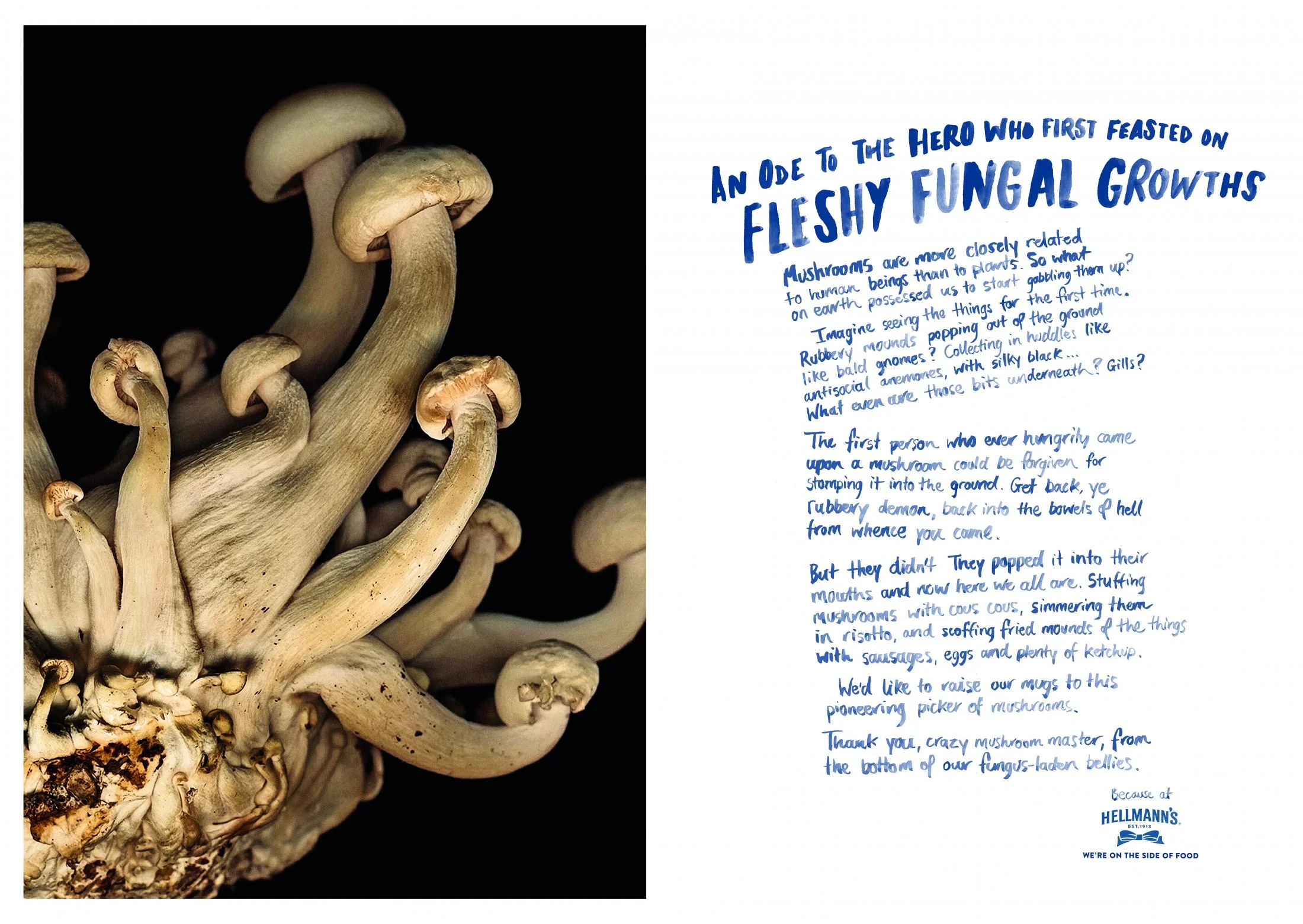 Hellmann's – Fleshy Fungal Growths.jpg