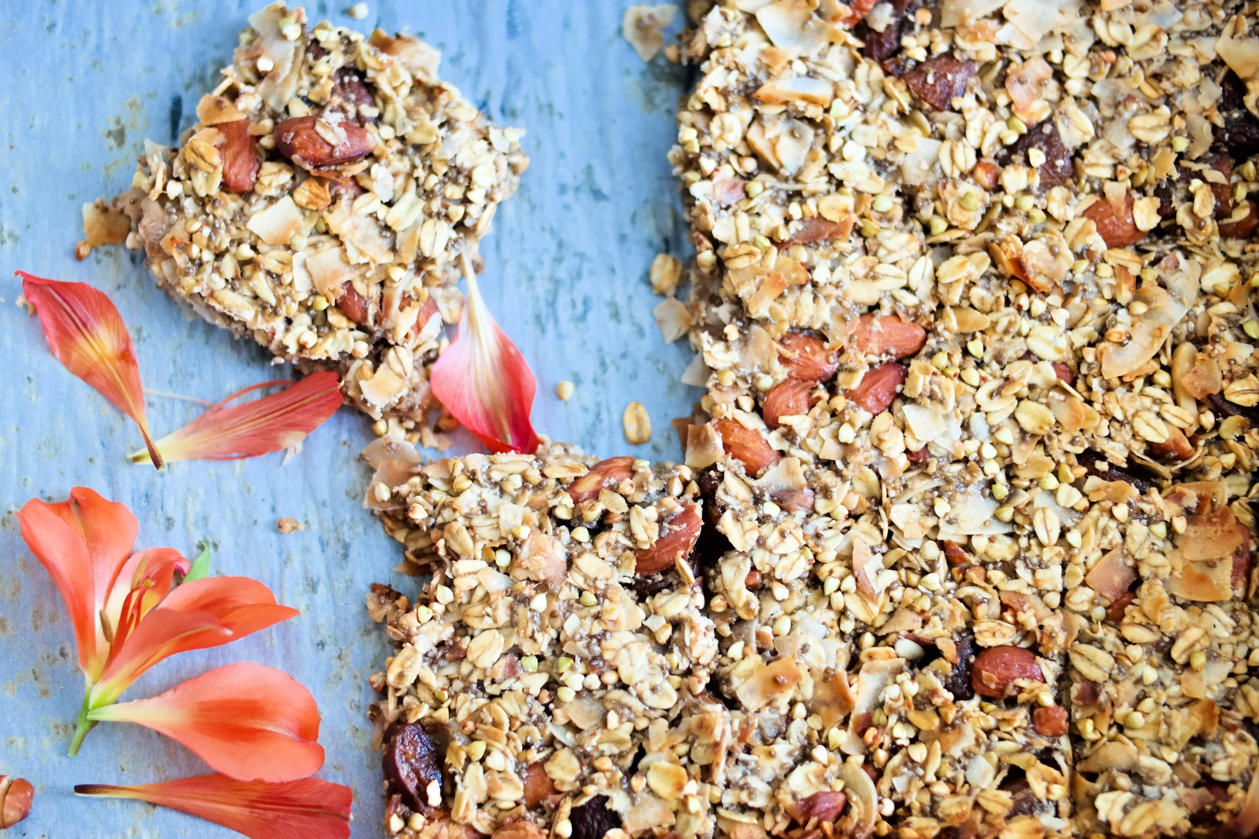 The Best Apricot and Coconut Bars
