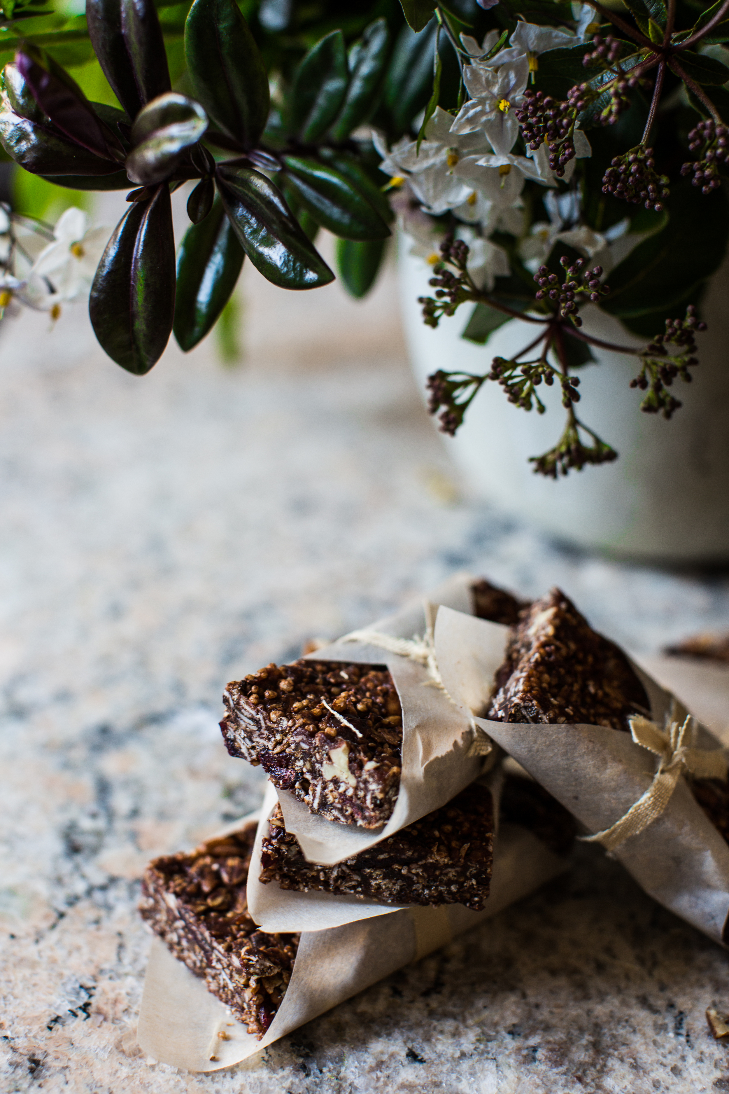 Dark Chocolate, Cherry Crisp Bars & a Brunch