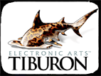 Some of the projects I was responsible for at Tiburon
