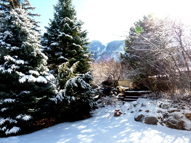Snow has been infrequent this winter