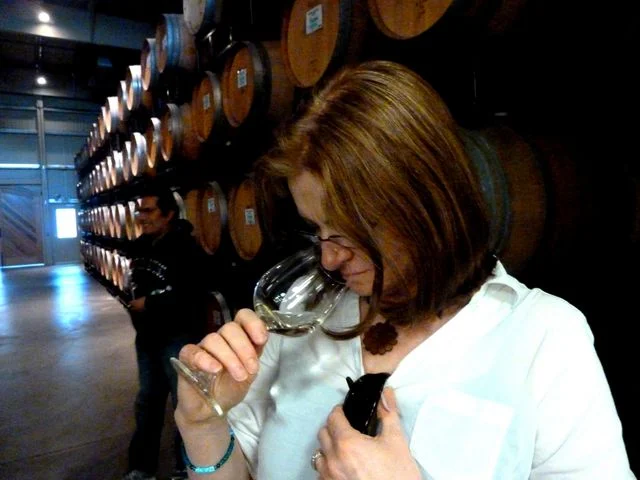 At each stop we got to sample different grapes and wine at different stages of aging