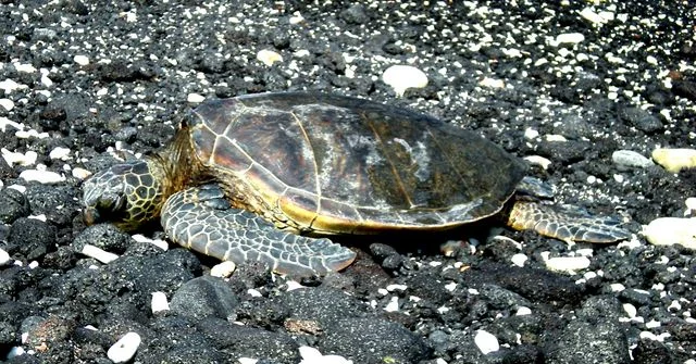 Almost trod on this chap!