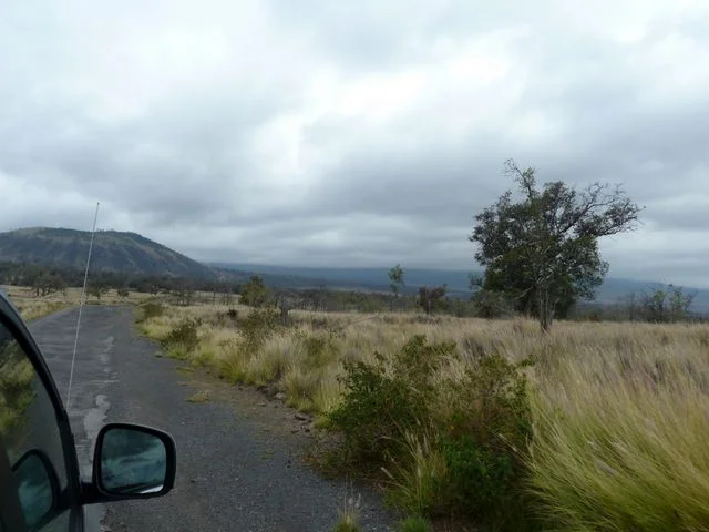 Next day its time for business - we are to stay with our hosts on their island ranch