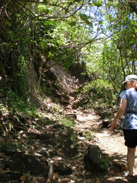 dscn1663.jpg