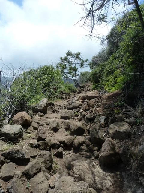 The "maintained" trail