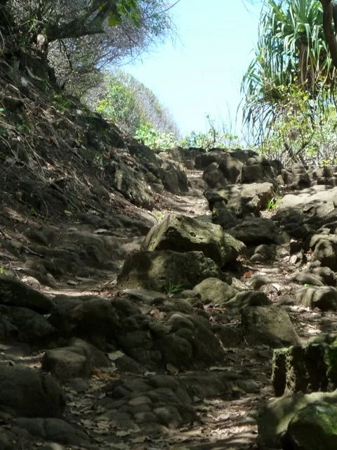 p1040374.jpg