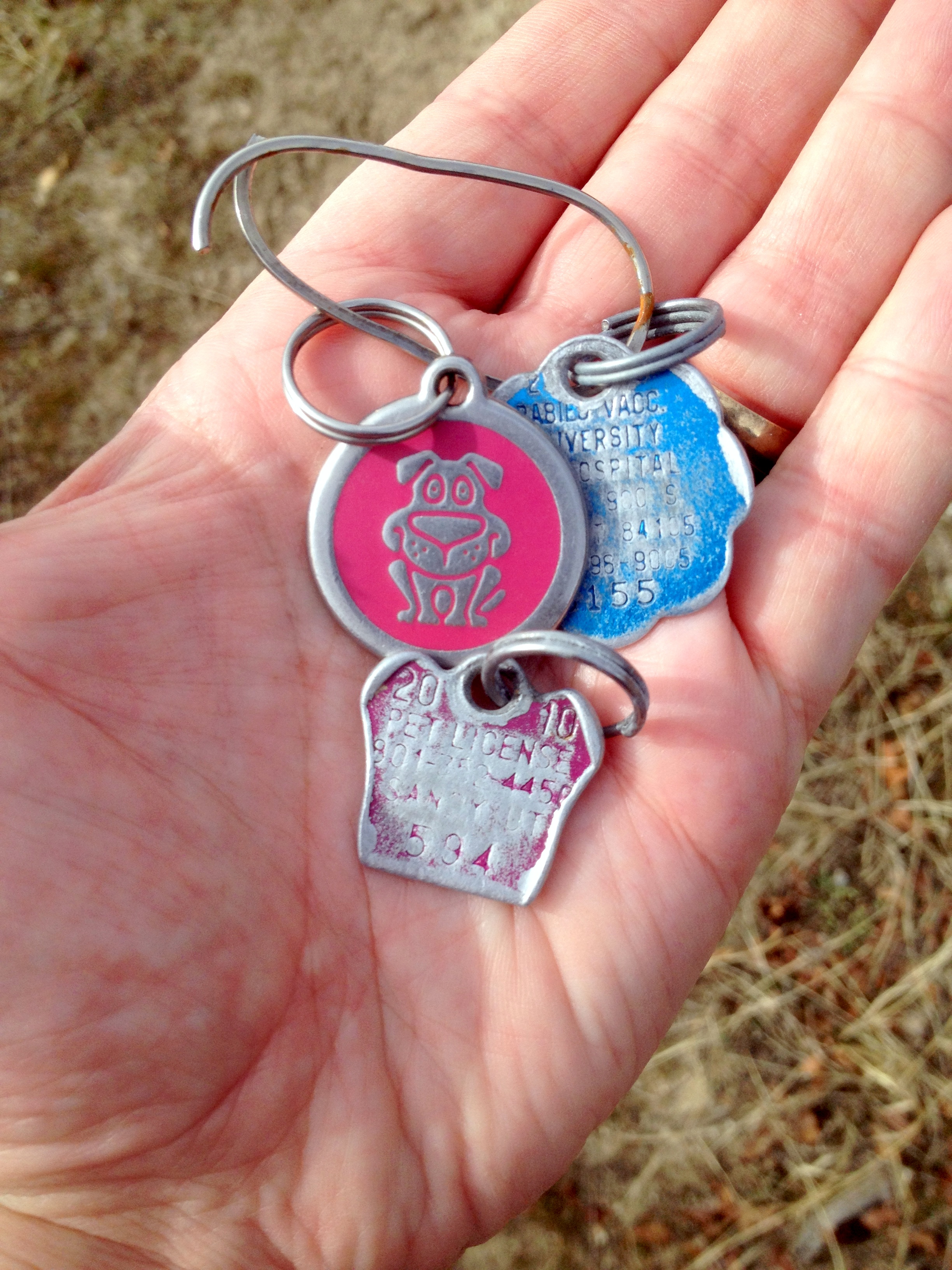 Sophie was NO help finding her dog tags, which I found 3 days later