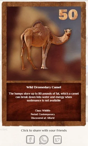 Virtual Collectible Items