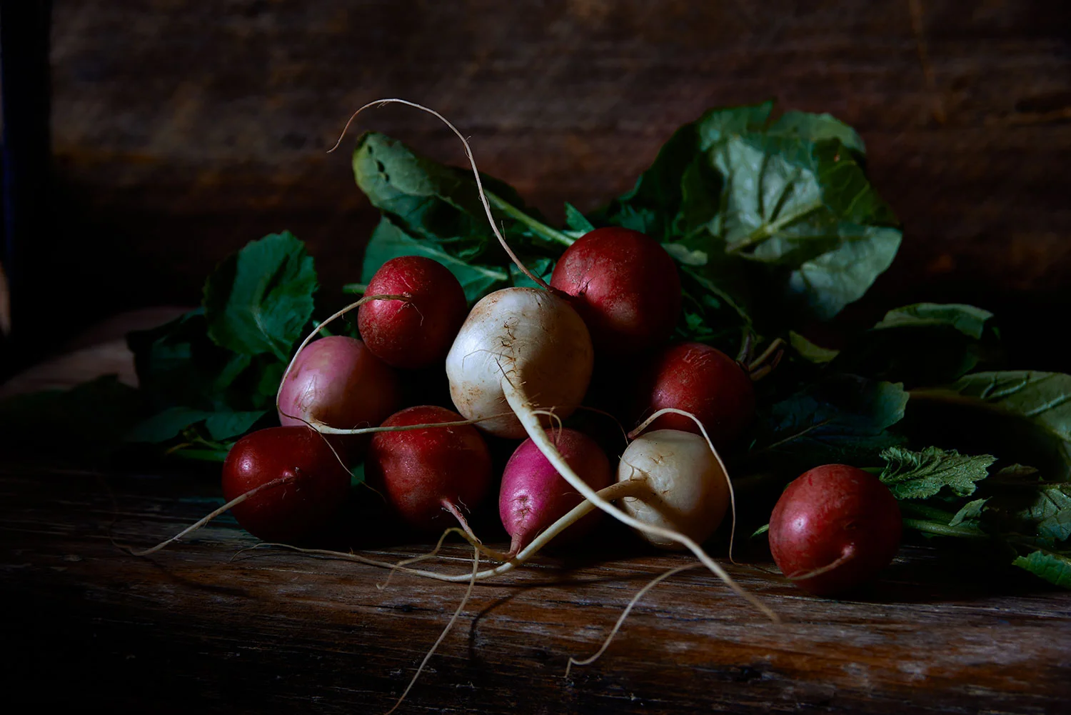 Radish00336-(1).jpg