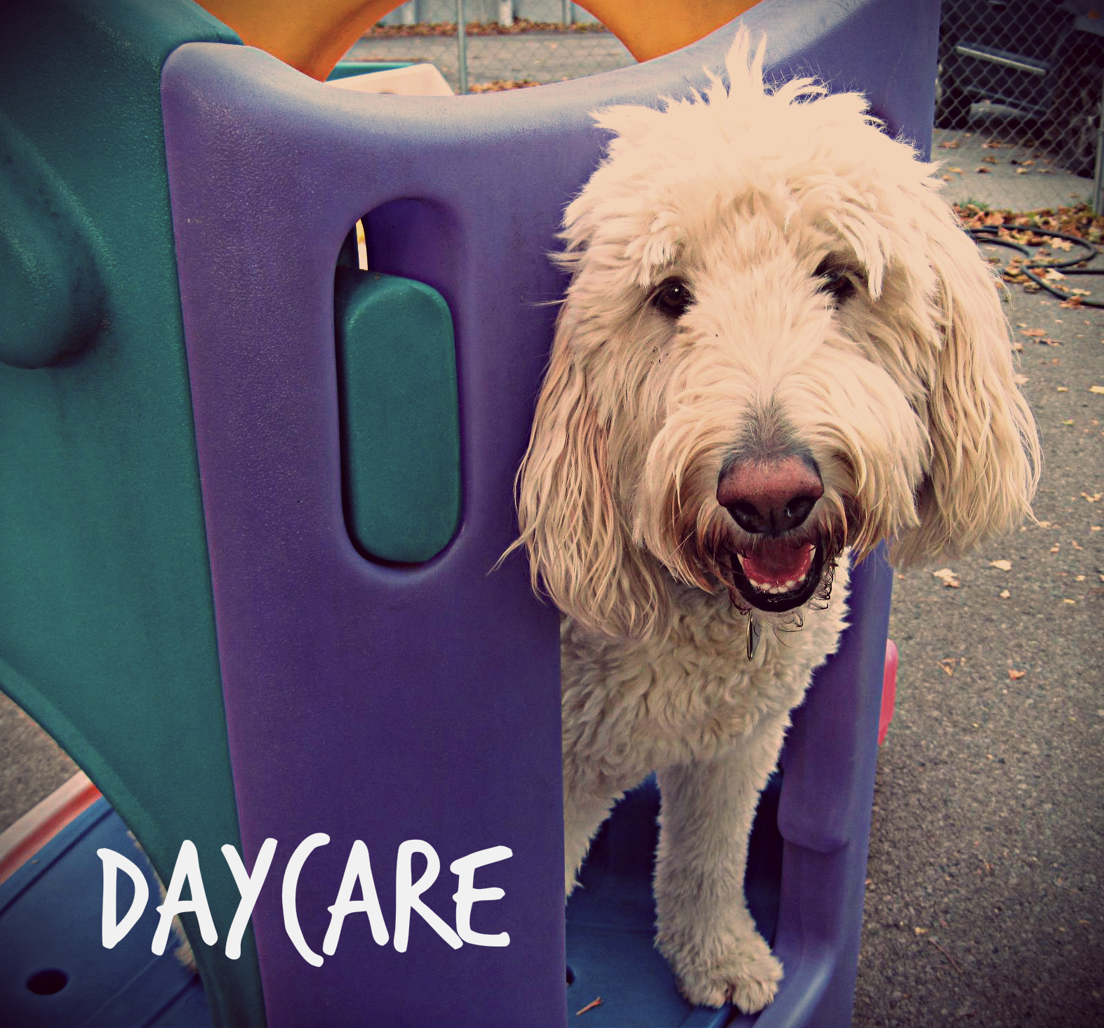 Daycare (Copy)