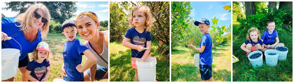 We had the chance to go blueberry picking with grandma, and we are still enjoying the fruits of that labor.  