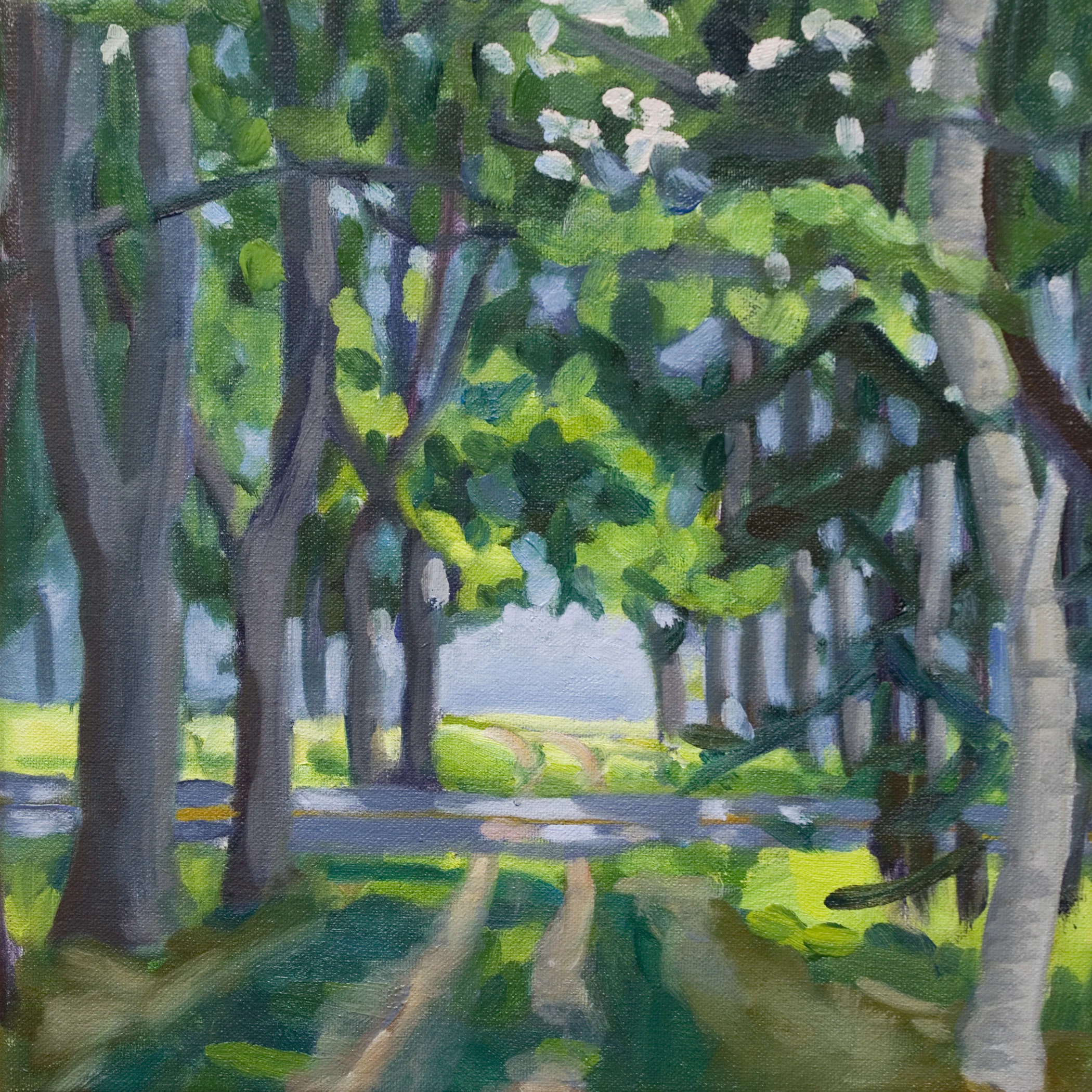 landscapes_9_07_001.jpg