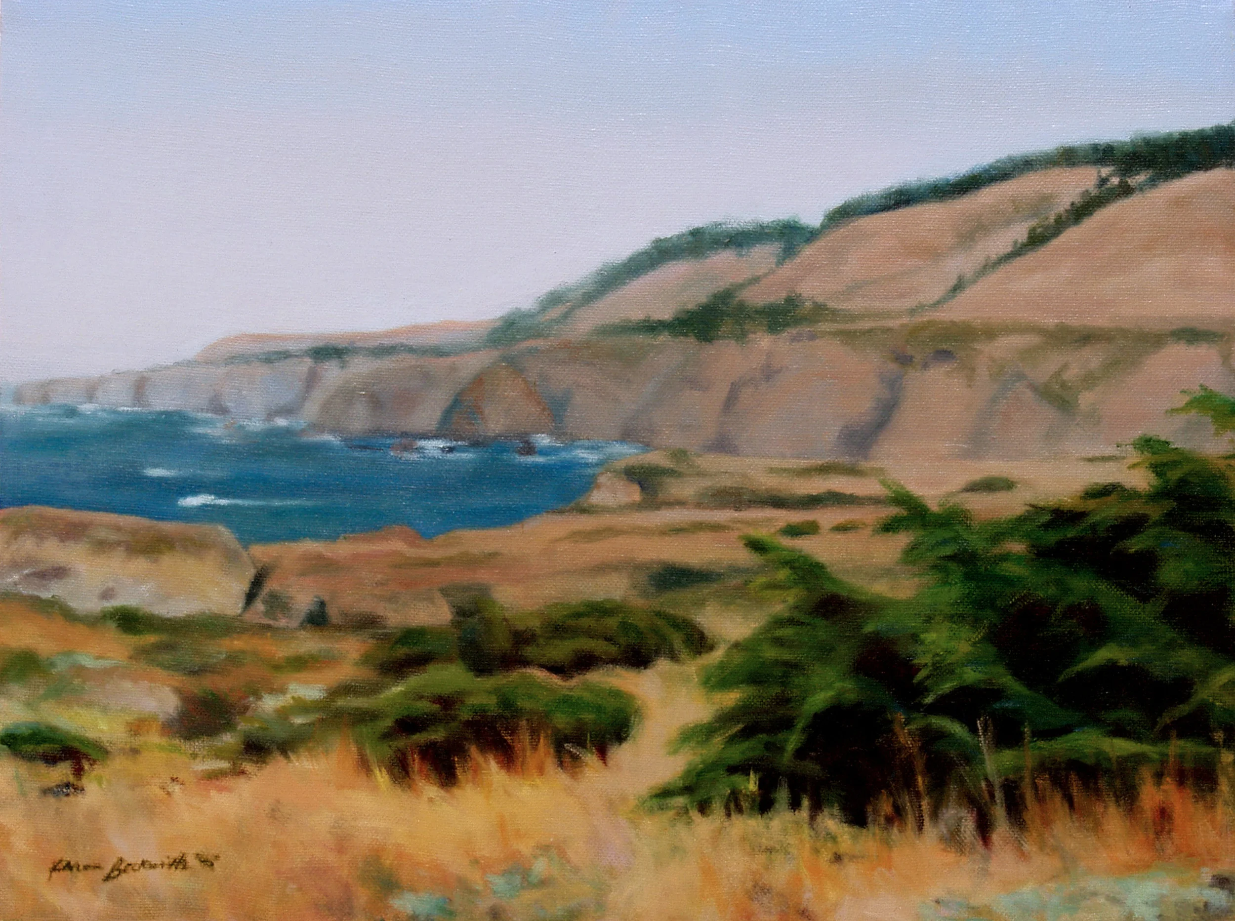 05_sonoma_pacific.JPG