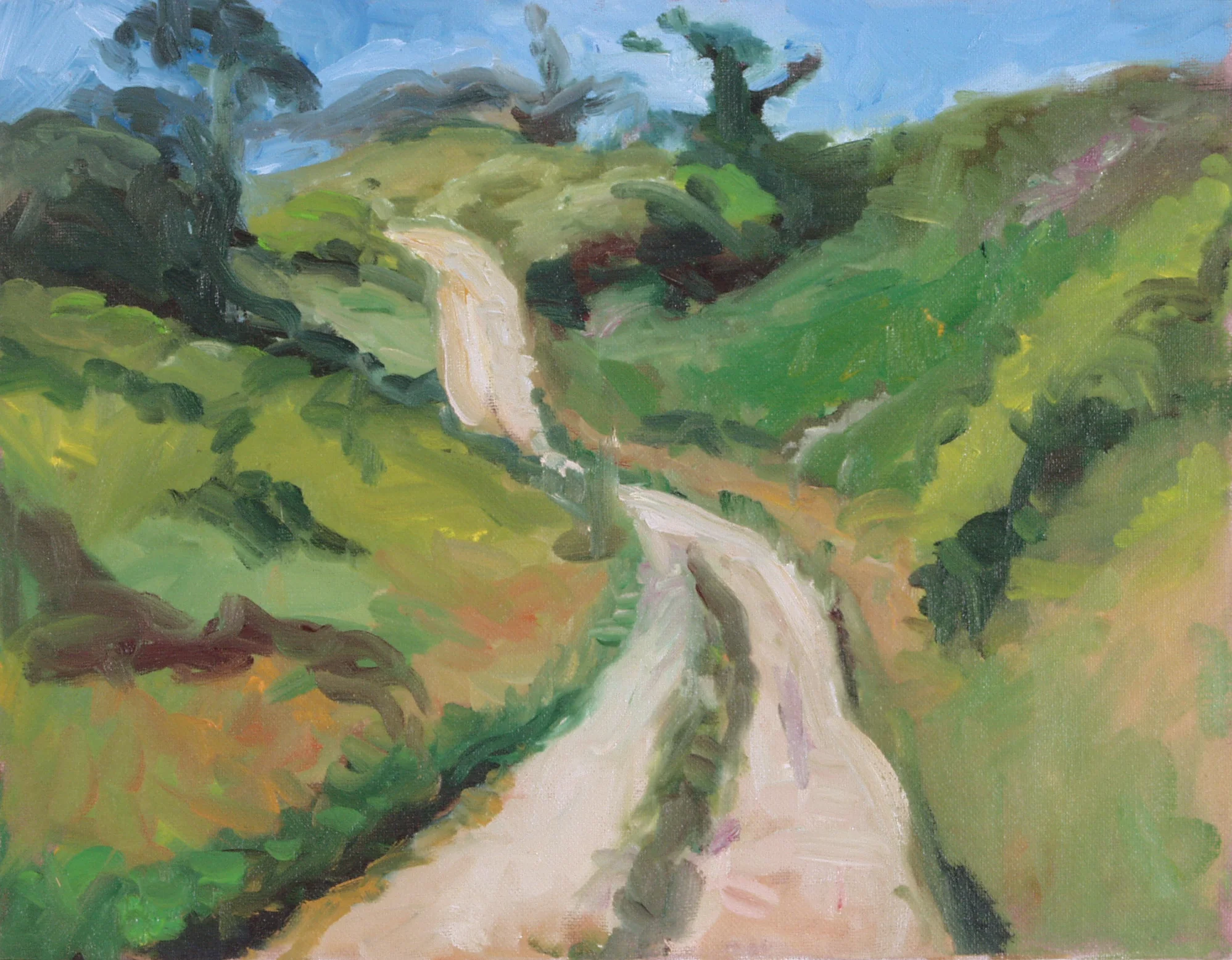 13_mansion_beach_path.JPG