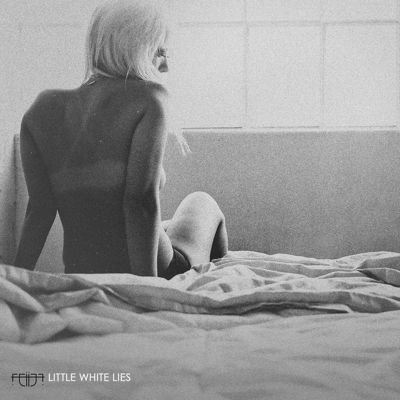 DJ Fei-Fei