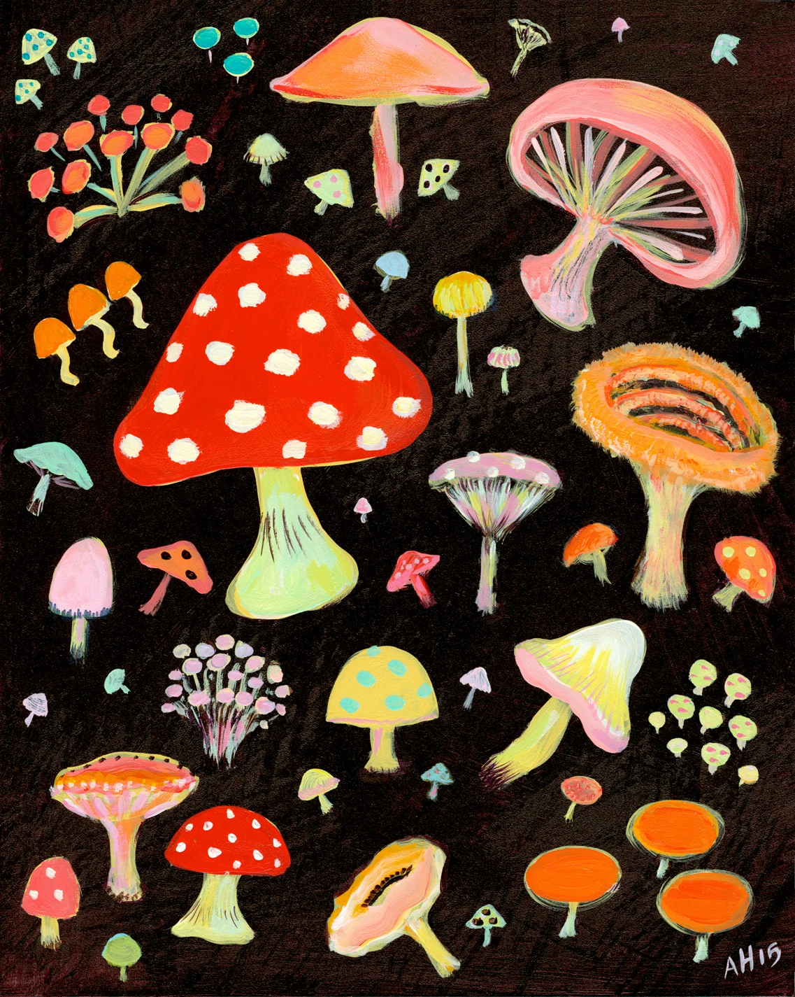 Allyn_Howard_Mushrooms.jpg
