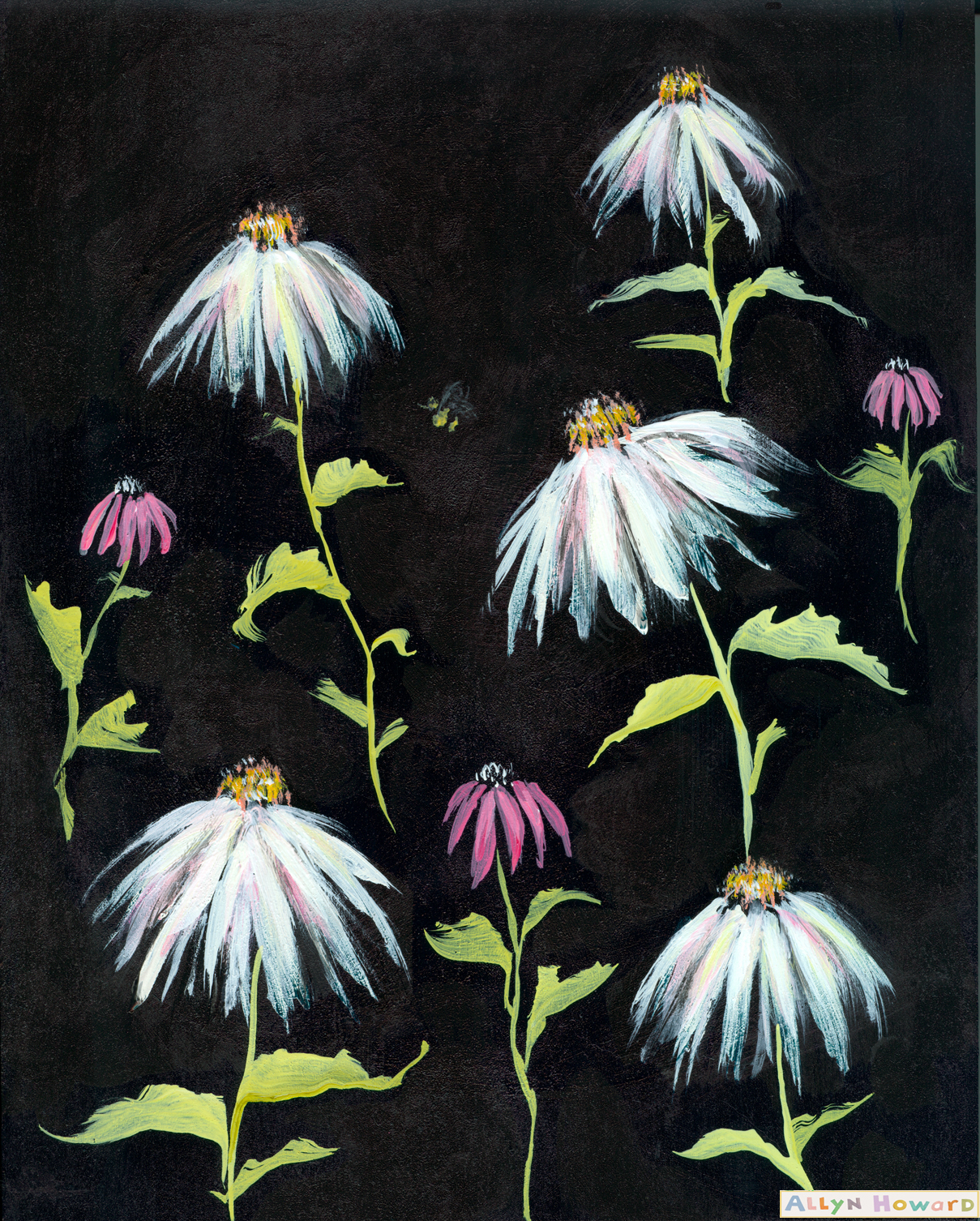 Allyn_Howard_white-wildflowers_daisies.jpg