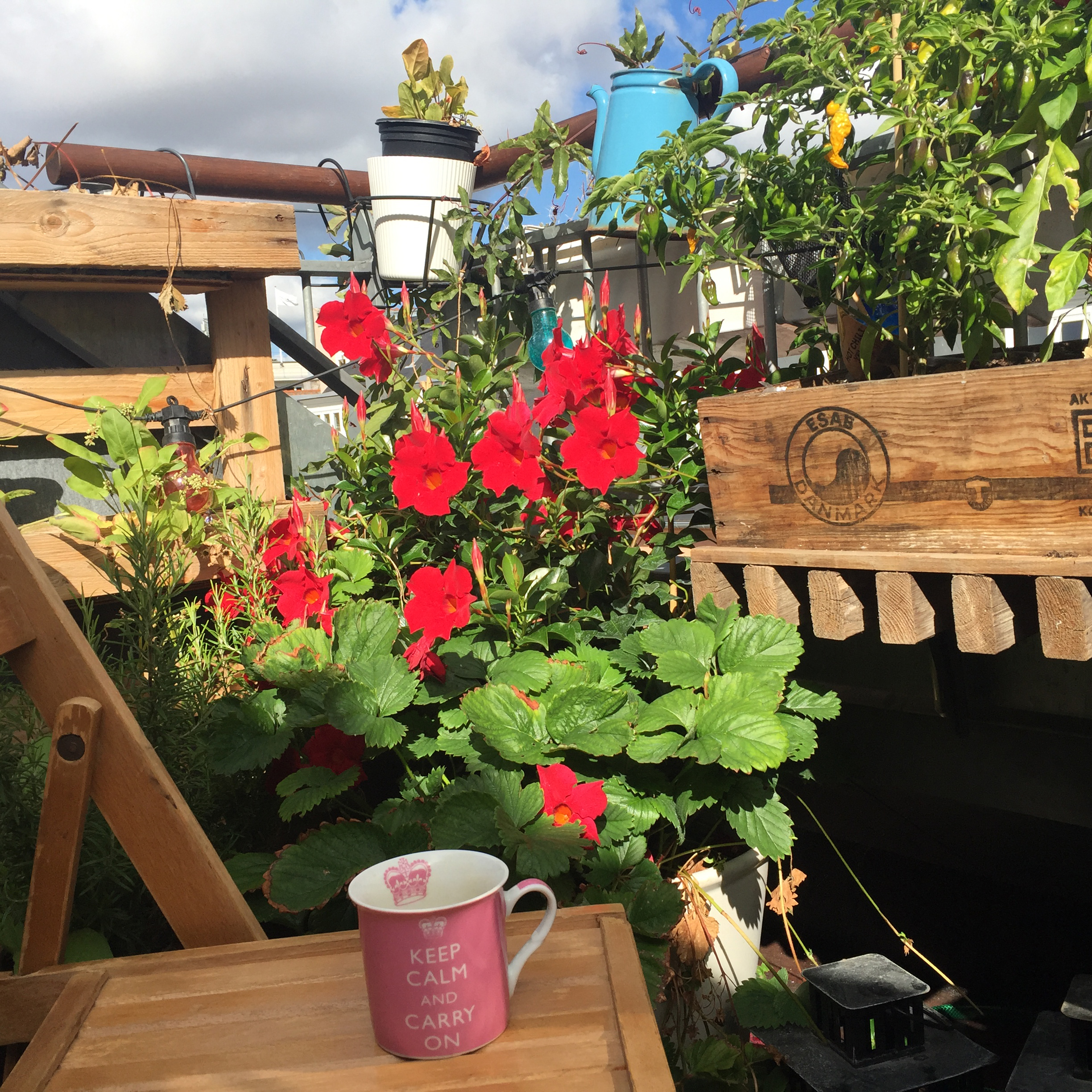 2018-08-21 Cpnhgn-roof-deck_morn_Vesterbro.jpg