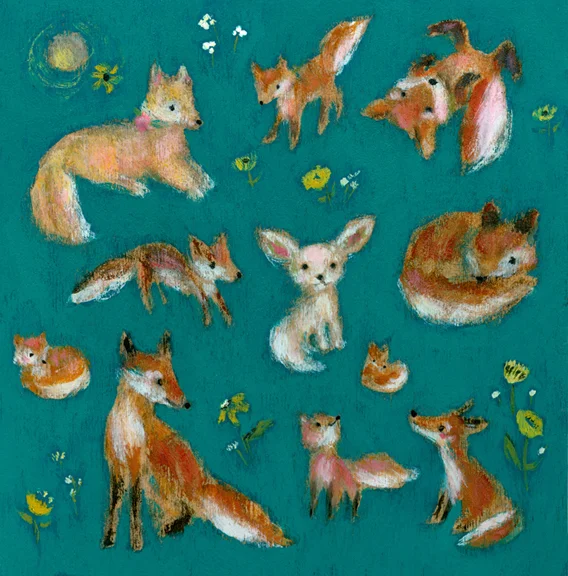 Allyn_Howard_foxes_19.jpg