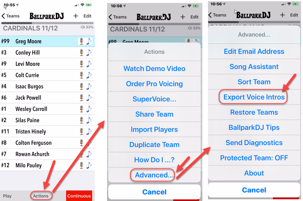 Exporting Voice — BallparkDJ